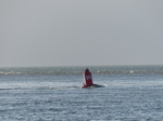FZ010577 Slanted buoy from tide and wind in Exmouth.jpg